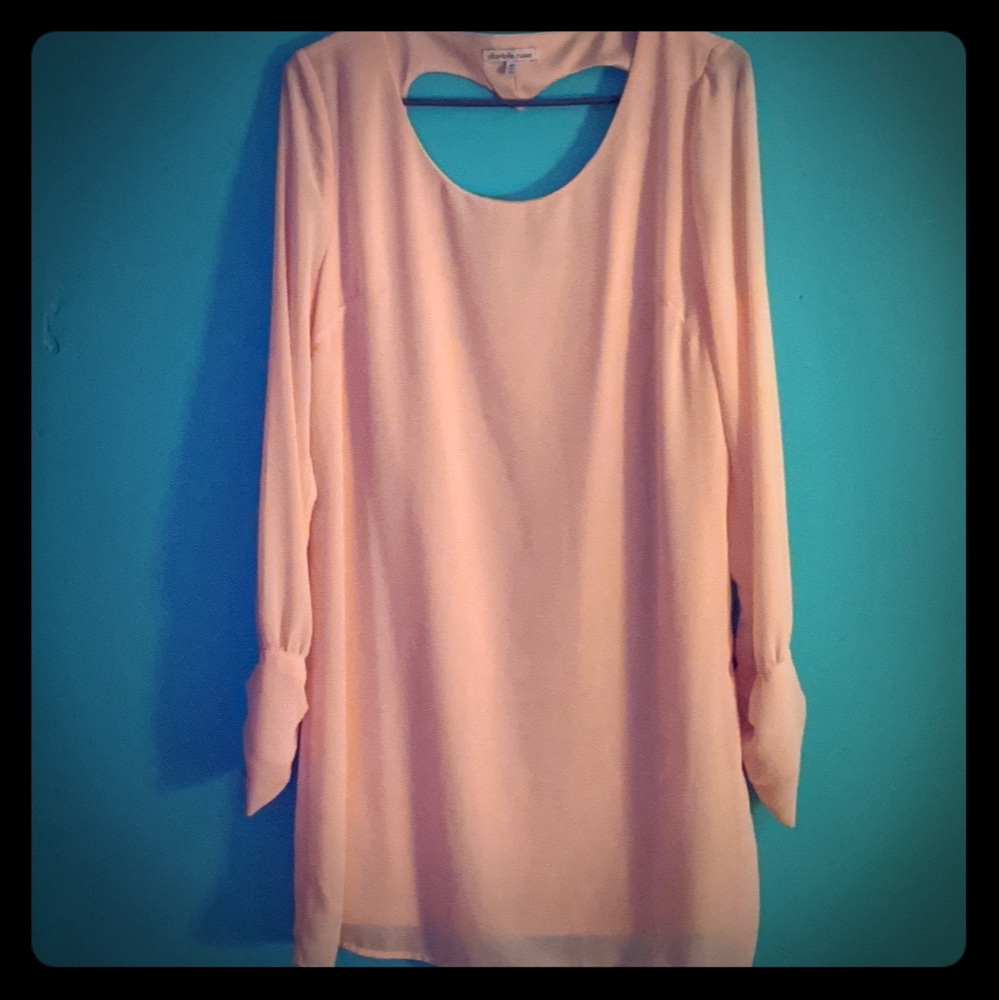 Light pink sheer dress